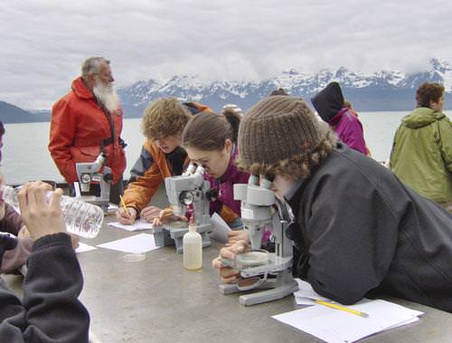students learning marine science