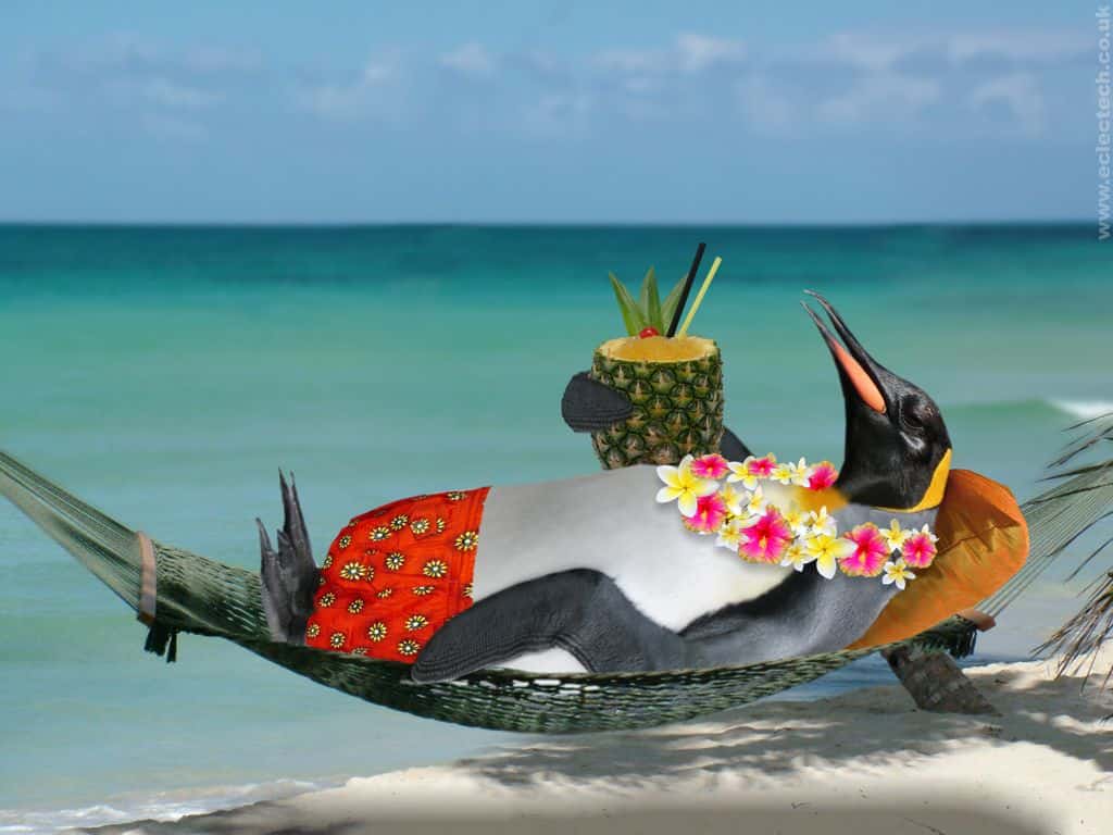 Tropical Penguin